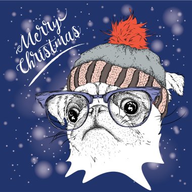 Noel poster kış şapka görüntü pug portre ile. Vektör çizim.