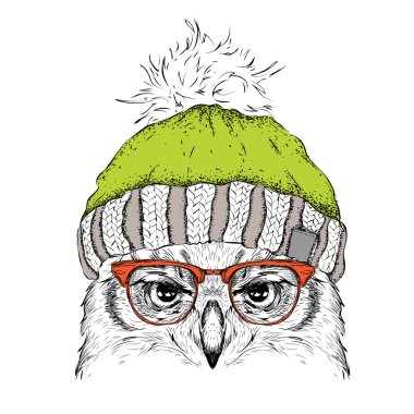 Noel poster kış şapka görüntü baykuş portre ile. Vektör çizim.