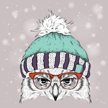 Noel poster kış şapka görüntü baykuş portre ile. Vektör çizim.