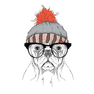 Noel poster kış şapka görüntü köpek portre ile. Vektör çizim.