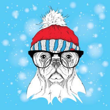 Noel poster kış şapka görüntü köpek portre ile. Vektör çizim.