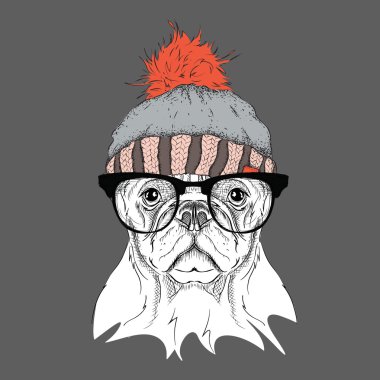 Noel poster kış şapka görüntü köpek portre ile. Vektör çizim.