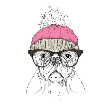 Noel poster kış şapka görüntü köpek portre ile. Vektör çizim.