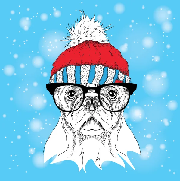 Noel poster kış şapka görüntü köpek portre ile. Vektör çizim.