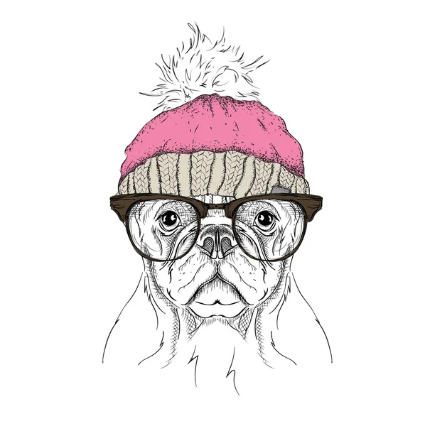 Noel poster kış şapka görüntü köpek portre ile. Vektör çizim.
