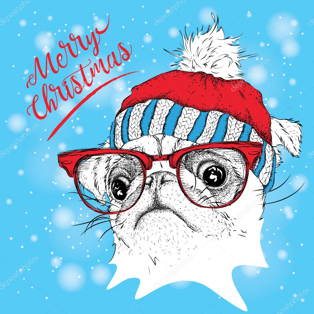 The christmas poster with the image pug portrait in winter hat. Vector illustration.