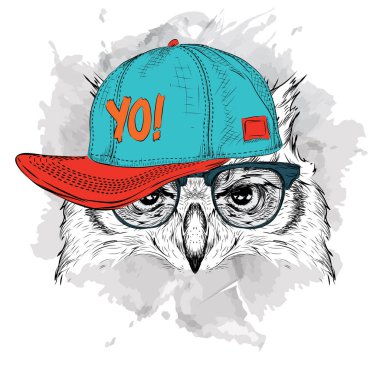 Poster ile görüntü baykuş portre hip-hop şapkalı. Vektör çizim.