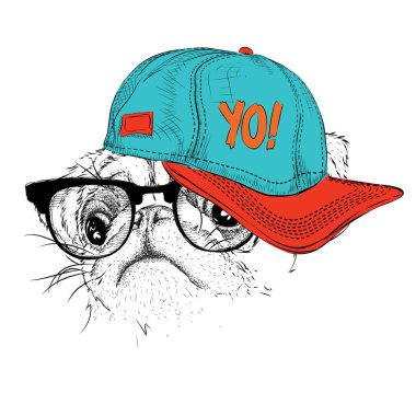 Poster ile görüntü pug portre hip-hop şapkalı. Vektör çizim.