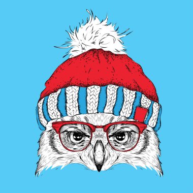 Noel poster kış şapka görüntü baykuş portre ile. Vektör çizim.