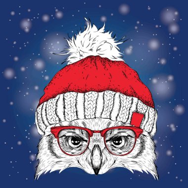 Noel poster kış şapka görüntü baykuş portre ile. Vektör çizim.