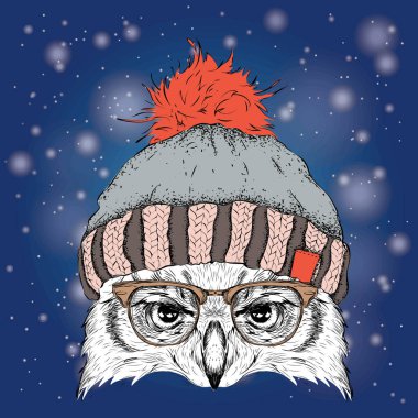 Noel poster kış şapka görüntü baykuş portre ile. Vektör çizim.
