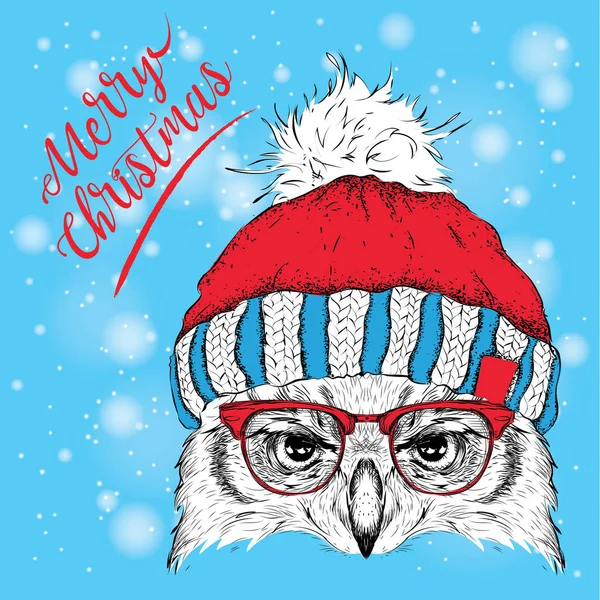 O cartaz de Natal com o retrato de coruja de imagem em chapéu de inverno. Ilustração vetorial . —  Vetores de Stock