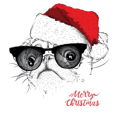 Noel poster ile görüntü pug portre Noel Baba'nın şapkalı. Vektör çizim.
