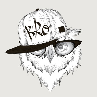 Poster ile görüntü baykuş portre hip-hop şapkalı. Vektör çizim.