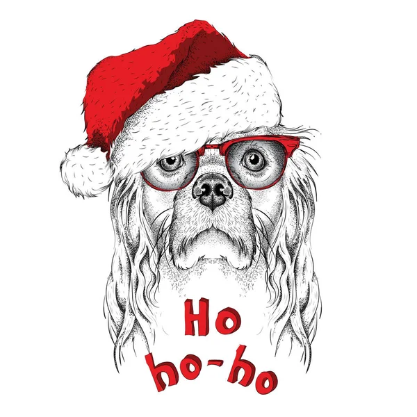 Das weihnachtsposter mit dem image cocker portrait im weihnachtsmann-hut. Vektorillustration. — Stockvektor