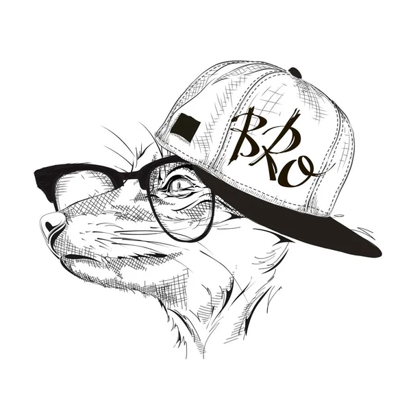 Πορτρέτο της αλεπούς στο χιπ-χοπ καπέλο. Εικονογράφηση διάνυσμα. — Διανυσματικό Αρχείο
