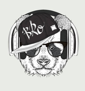 Gözlüklü, kulaklık ve hip-hop şapkalı panda görüntüsü. Vektör çizim.