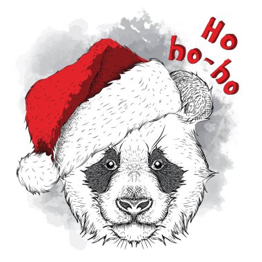 Noel poster ile görüntü panda portre Noel Baba'nın şapkalı. El çizmek vektör çizim.