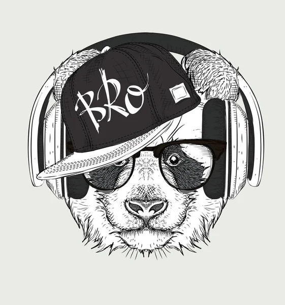 Gözlüklü, kulaklık ve hip-hop şapkalı panda görüntüsü. Vektör çizim.