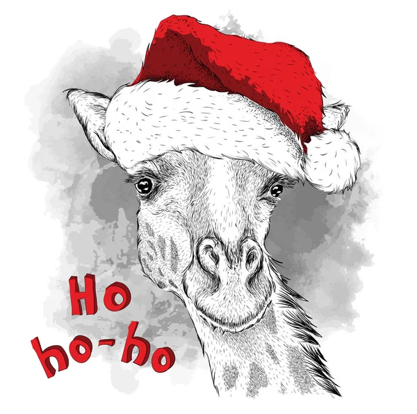 Das weihnachtsposter mit dem bild des giraffenporträts im weihnachtsmann-hut. Vektorillustration. — Stockvektor