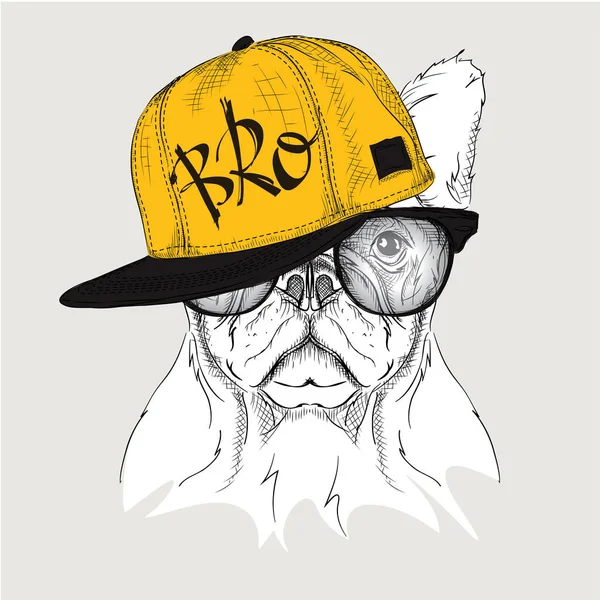 Il poster con il ritratto del cane immagine in cappello hip-hop. Illustrazione vettoriale . — Vettoriale Stock