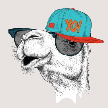 Gözlüklü ve hip-hop şapkalı deve görüntüsü. Vektör çizim.