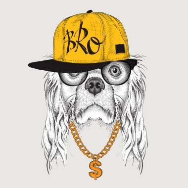 Yavru horoz İspanyol portre hip-hop şapkalı görüntü ile poster. Vektör çizim.