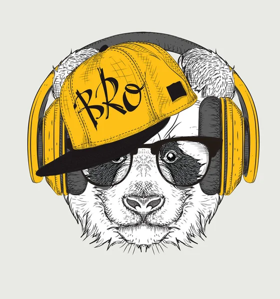 Gözlüklü, kulaklık ve hip-hop şapkalı panda görüntüsü. Vektör çizim.