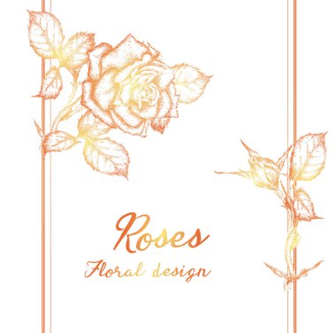 Tebrik kartı Güllü vektör, düğün, doğum günü ve diğer tatil ve yaz arka plan için davetiye kullanılabilir