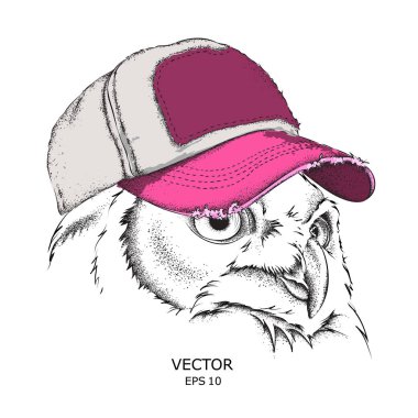 Poster ile görüntü baykuş portre hip-hop şapkalı. Vektör çizim.