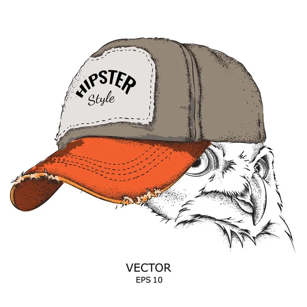 Poster ile görüntü baykuş portre hip-hop şapkalı. Vektör çizim.