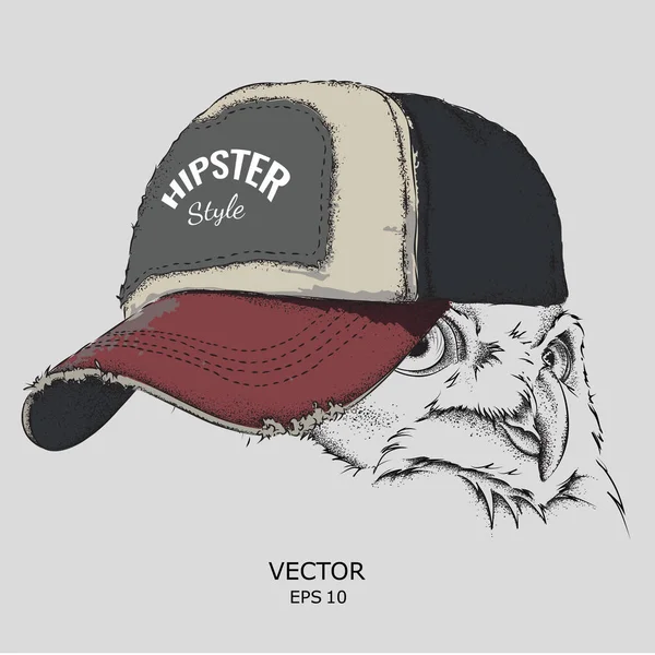 Poster ile görüntü baykuş portre hip-hop şapkalı. Vektör çizim.