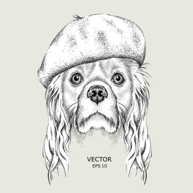 Ele bir sanatçı olarak giyinmiş Cocker çekin. El çizmek vektör çizim