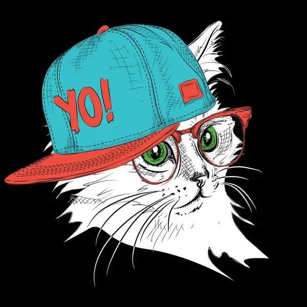 Il poster con il ritratto del gatto immagine in cappello hip-hop. Illustrazione vettoriale . — Vettoriale Stock