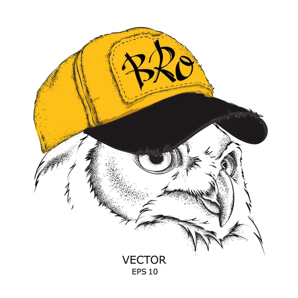 Poster ile görüntü baykuş portre hip-hop şapkalı. Vektör çizim.