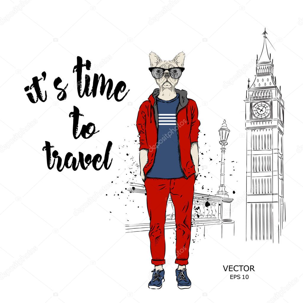 Hipster dressed dog up in jacket, pants and sweater.  London background. Vector illustration