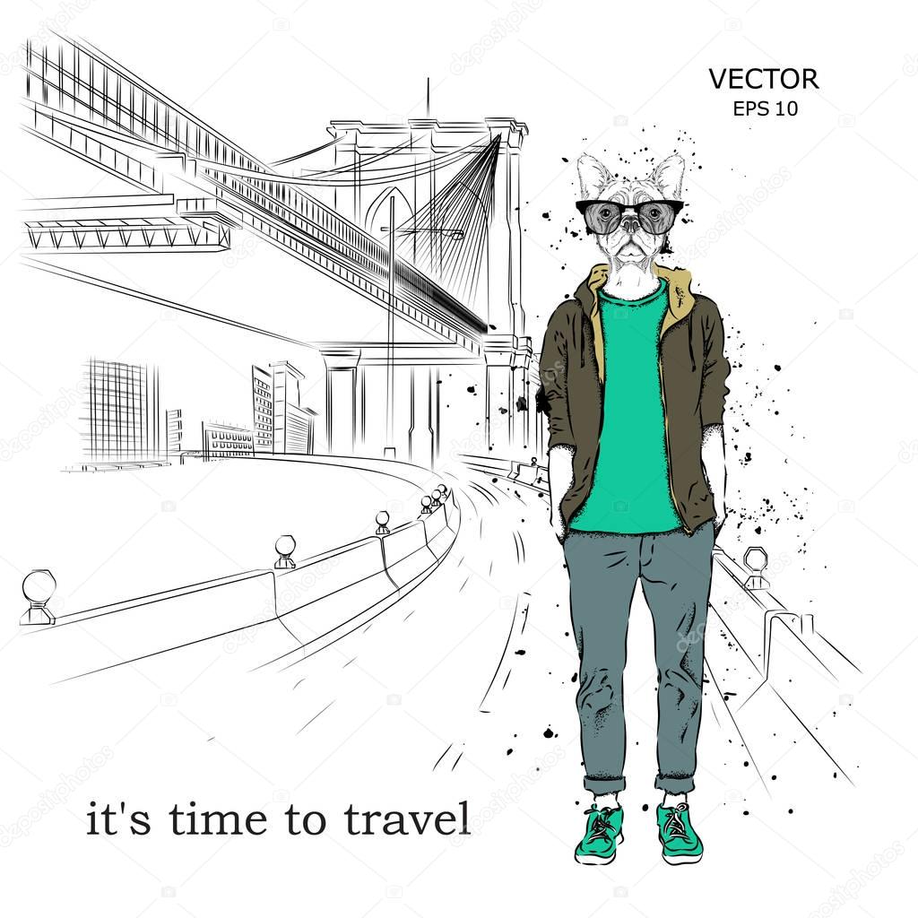 Hipster dressed dog up in jacket, pants and sweater. New York hand drawn vector illustration