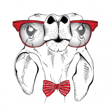 Görüntü Karaca kravat ve gözlüklü portresi. Vektör çizim.