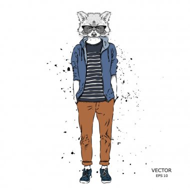 Hipster Rakun ceket, pantolon ve Kazak giymiş. Vektör çizim
