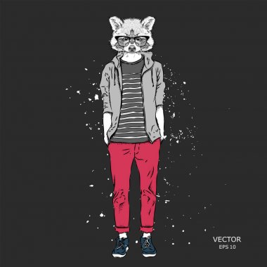 Hipster Rakun ceket, pantolon ve Kazak giymiş. Vektör çizim