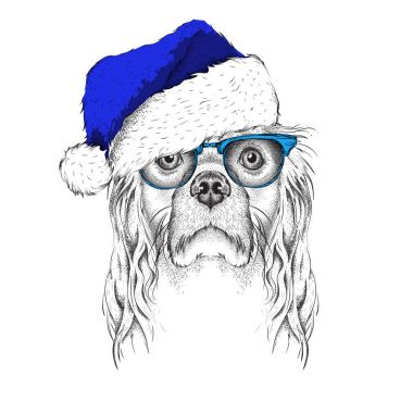 Noel poster ile görüntü Cocker portre Noel Baba'nın şapkalı. Vektör çizim.