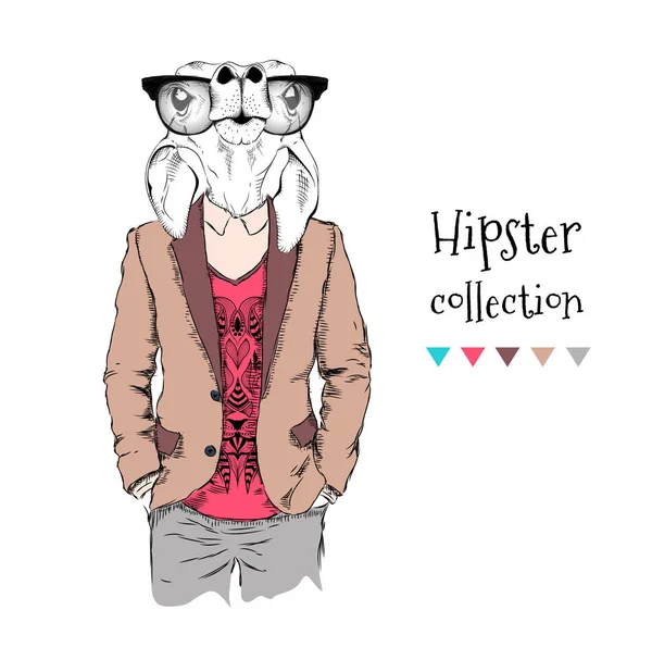 Illustration d'un drôle de chevreuil hipster habillé en veste, pantalon et pull. Illustration vectorielle — Image vectorielle