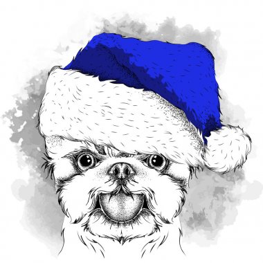Noel poster ile görüntü köpek portre Noel Baba'nın şapkalı. Yorkshire korkunç. Vektör çizim.