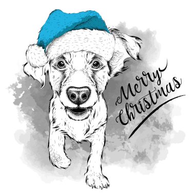 Yavru horoz İspanyol Santa Claus şapka, yeni yıl arka çalışır. Vektör çizim