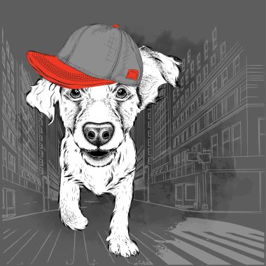 Poster ile görüntü köpek portre hip-hop şapkalı. Vektör çizim.