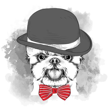 Köpek şapka, kravat ve gözlük görüntü portresi. Yorkshire korkunç. Vektör çizim.
