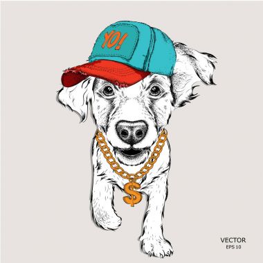 Poster ile görüntü köpek portre hip-hop şapkalı. Vektör çizim.