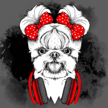 Kız köpekle şirin yay. Yorkshire korkunç. Vektör çizim