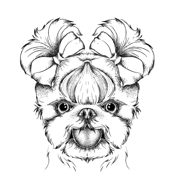 Chica cachorro con lazos lindos. Yorkshire Terrier. Ilustración vectorial — Vector de stock