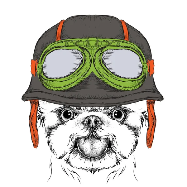 Motosiklet kaskı takıyor köpek portresi ile poster. Yorkshire korkunç. Vektör çizim.